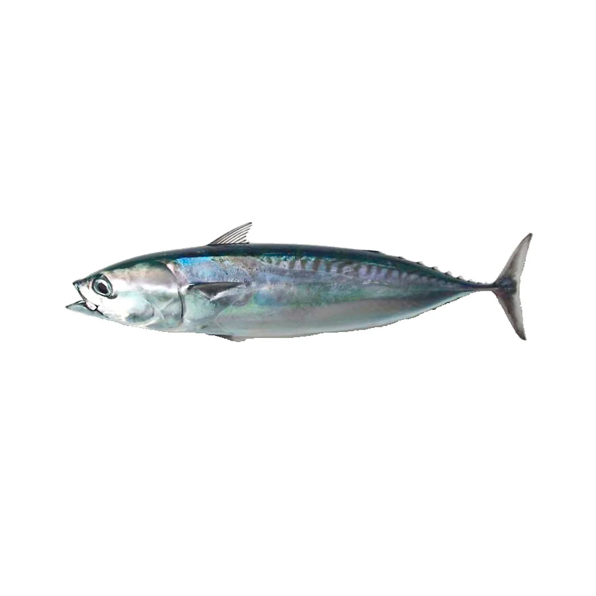 Dashi-Infused Rice Vinegar, 3.66 floz - Image 9