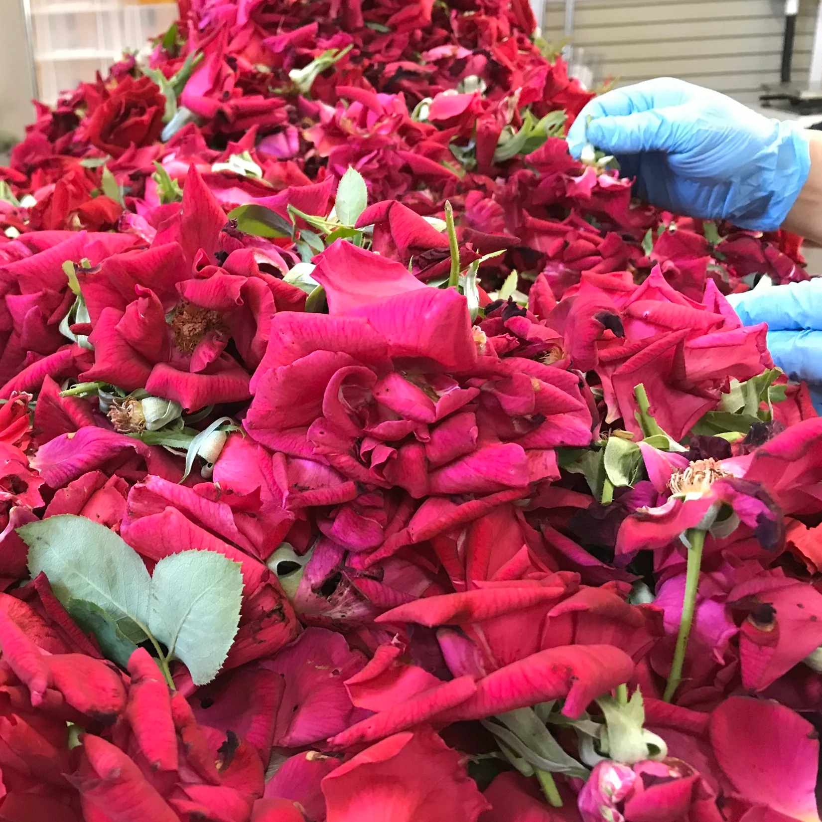 Japanese Rose Syrup, 4 floz - Image 11