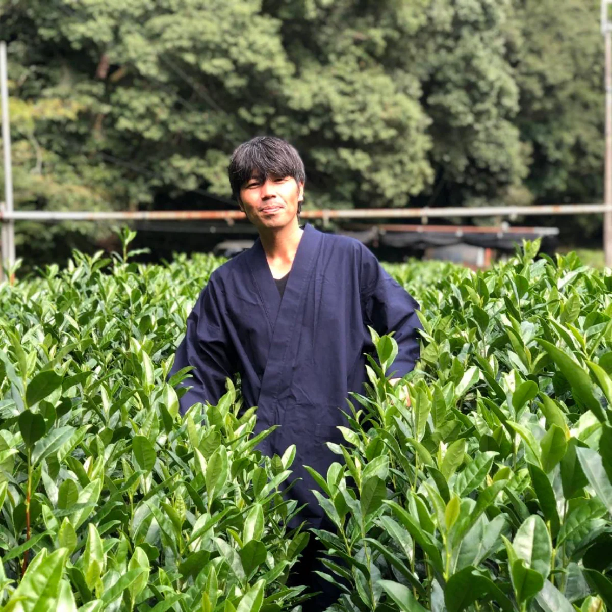 Organic Yuzu Hojicha, 0.84 oz - Image 10