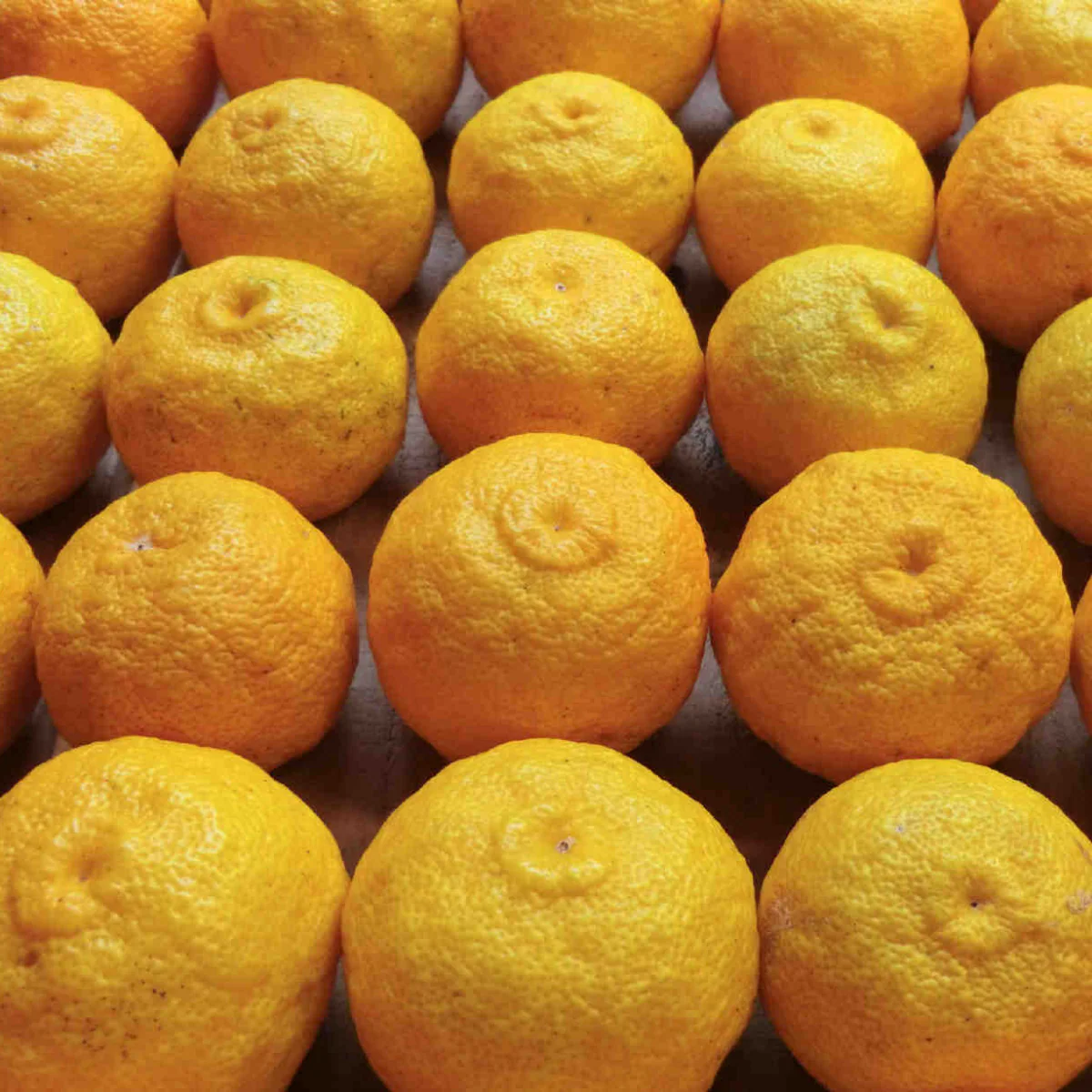 Organic Kito Yuzu Marmalade, 5.29 oz - Image 9