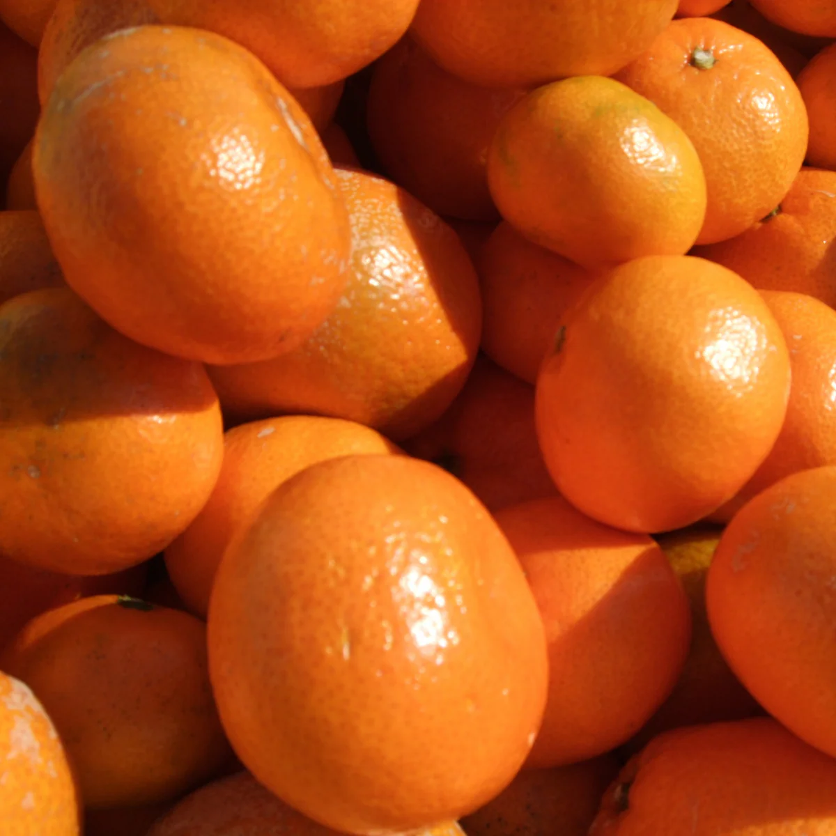 Powdered Sun-dried Whole Mikan (Japanese Mandarin), 1.05 oz - Image 4